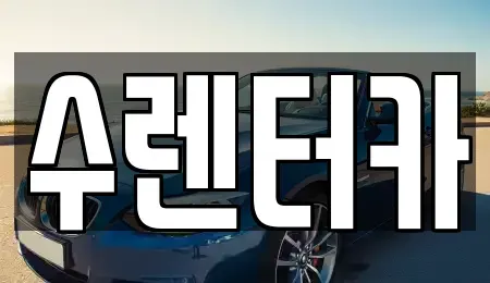 인천광역시 부평구 갈산동 장기렌트카 전문 수렌터카