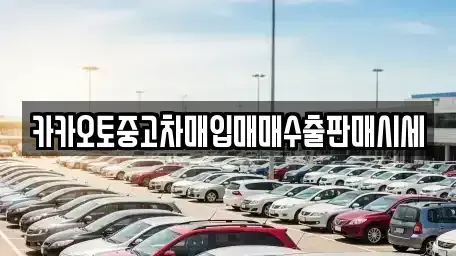 인천광역시 부평구 갈산동 중고차매매 전문 카카오토중고차매입매매수출판매시세