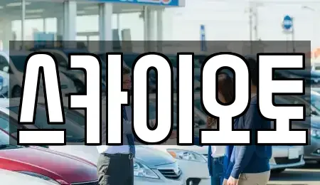 인천광역시 부평구 구산동 단기렌트카 전문 스카이오토