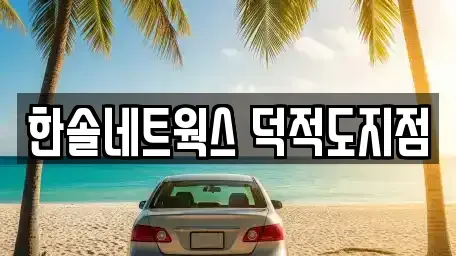 인천광역시 옹진군 자월면 렌트카 전문 한솔네트웍스 덕적도지점