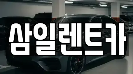 전남 광양시 도이동 렌트카 전문 삼일렌트카