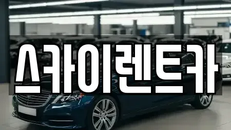 전남 광양시 도이동 렌트카 전문 스카이렌트카