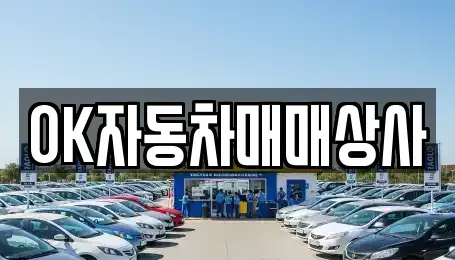 전남 광양시 도이동 중고차매매,단기렌트카,중고차매입,장기렌트카,중고차,렌트카