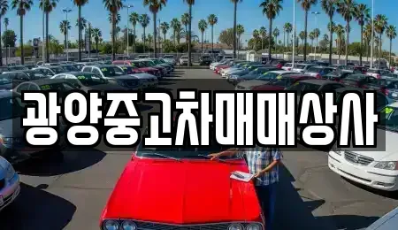 전남 광양시 도이동 중고차매매 전문 광양중고차매매상사