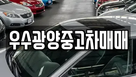 전남 광양시 도이동 중고차매매 전문 우수광양중고차매매