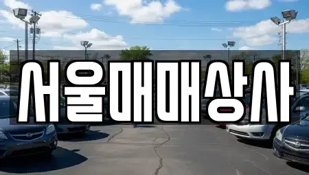 전남 광양시 진월면 중고차매매 전문 서울매매상사