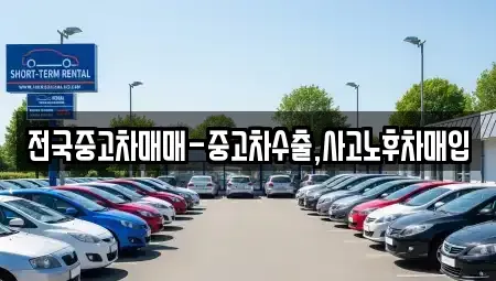 전남 나주시 교동 중고차 전문 전국중고차매매-중고차수출,사고노후차매입