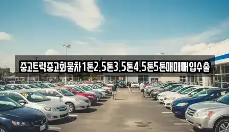 전남 나주시 교동 중고차 전문 중고트럭중고화물차1톤2.5톤3.5톤4.5톤5톤매매매입수출