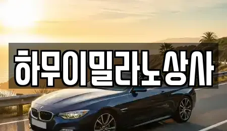 전남 나주시 금천면 중고차매매 전문 하무이밀라노상사