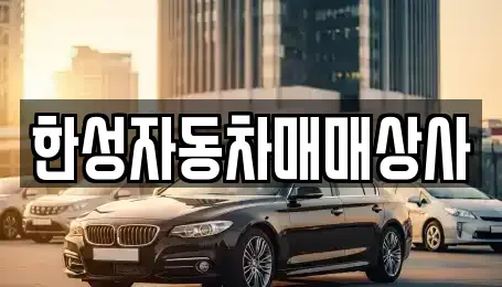 전남 나주시 금천면 중고차매매 전문 한성자동차매매상사