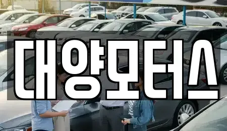 전남 나주시 청동 중고차 전문 대양모터스