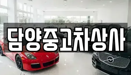 전남 담양군 월산면 중고차매매 전문 담양중고차상사