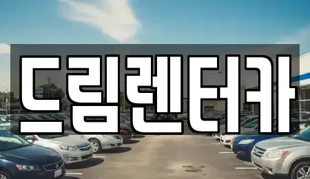 전남 무안군 삼향읍 단기렌트카 전문 드림렌터카