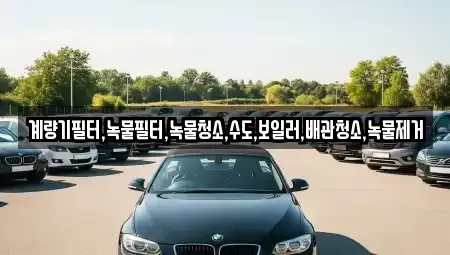 전남 순천시 서면 렌트카 전문 계량기필터,녹물필터,녹물청소,수도,보일러,배관청소,녹물제거