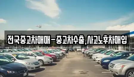 전남 여수시 국동 중고차매입 전문 전국중고차매매-중고차수출,사고노후차매입