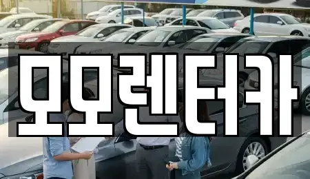 전남 여수시 미평동 렌트카 전문 모모렌터카