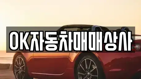 전남 여수시 미평동 중고차 전문 OK자동차매매상사