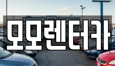 전남 여수시 화정면 렌트카 전문 모모렌터카