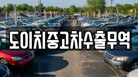 전남 진도군 군내면 중고차 전문 도이치중고차수출무역
