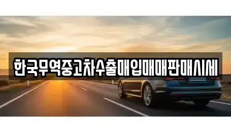 전남 진도군 군내면 중고차 전문 한국무역중고차수출매입매매판매시세