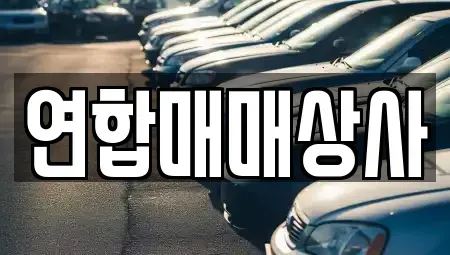 전남 해남군 해남읍 중고차,렌트카,중고차매입,중고차매매,장기렌트카,단기렌트카