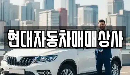 전남 해남군 해남읍 중고차 전문 현대자동차매매상사