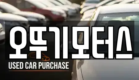 전남 화순군 화순읍 중고차 전문 오뚜기모터스