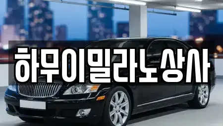 전라남도 나주시 다시면 중고차매매,단기렌트카,중고차매입,장기렌트카,중고차,렌트카