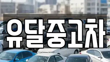 전라남도 목포시 중고차매매 전문 유달중고차
