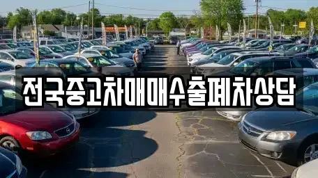 전라남도 목포시 중고차매매 전문 전국중고차매매수출폐차상담