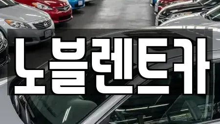 전라남도 무안군 몽탄면 렌트카 전문 노블렌트카