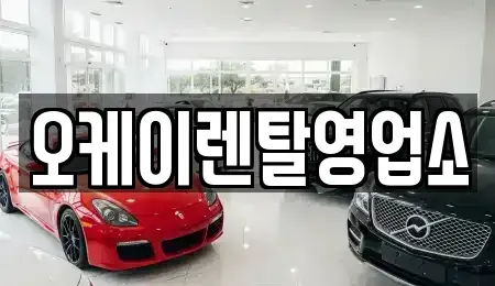 전라남도 무안군 몽탄면 렌트카,단기렌트카,장기렌트카,중고차,중고차매매,중고차매입