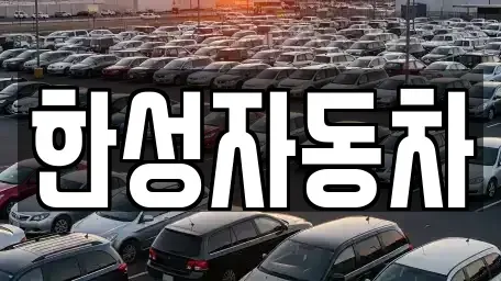 전라남도 무안군 몽탄면 중고차 전문 한성자동차