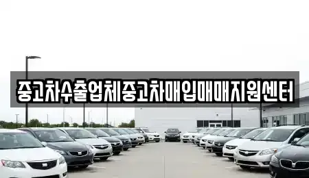 전라남도 순천시 저전동 중고차매입 전문 중고차수출업체중고차매입매매지원센터