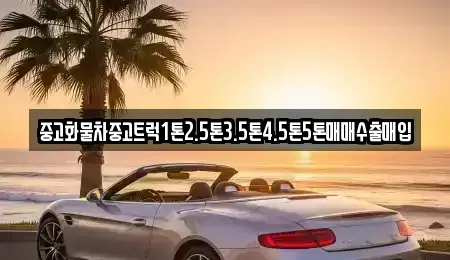 전라남도 진도군 의신면 중고차,렌트카,중고차매입,중고차매매,장기렌트카,단기렌트카