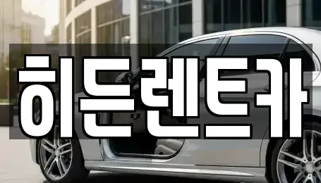 전라남도 함평군 대동면 렌트카 전문 히든렌트카