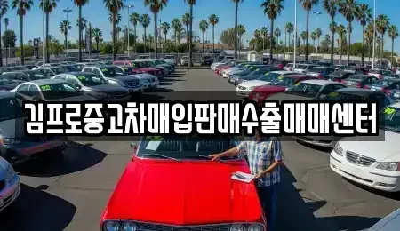 전라남도 함평군 대동면 중고차매매 전문 김프로중고차매입판매수출매매센터