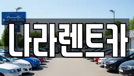 전라남도 함평군 렌트카 전문 나라렌트카
