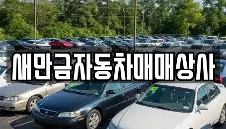 전북 군산시 금암동 중고차매매 전문 새만금자동차매매상사