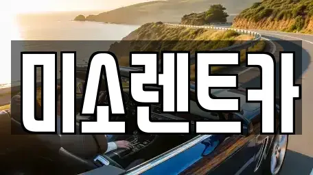 전북 군산시 옥구읍 렌트카 전문 미소렌트카