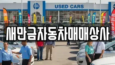 전북 군산시 중앙로1가 중고차 전문 새만금자동차매매상사