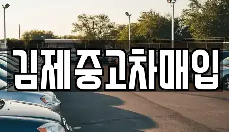 전북 김제시 금구면 중고차 전문 김제중고차매입