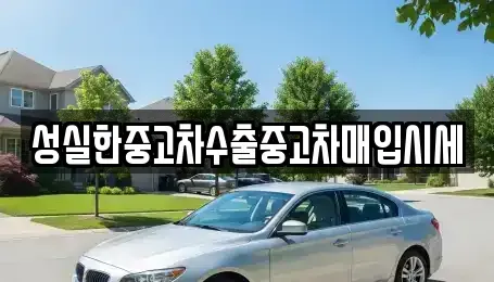전북 완주군 삼례읍 중고차매입 전문 성실한중고차수출중고차매입시세