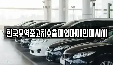 전북 완주군 삼례읍 중고차매입 전문 한국무역중고차수출매입매매판매시세