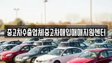 전북 전주시 완산구 경원동3가 중고차매입 전문 중고차수출업체중고차매입매매지원센터