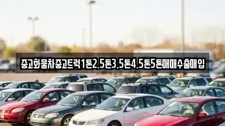 전북 전주시 완산구 남노송동 중고차 전문 중고화물차중고트럭1톤2.5톤3.5톤4.5톤5톤매매수출매입