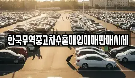전북 전주시 완산구 남노송동 중고차 전문 한국무역중고차수출매입매매판매시세