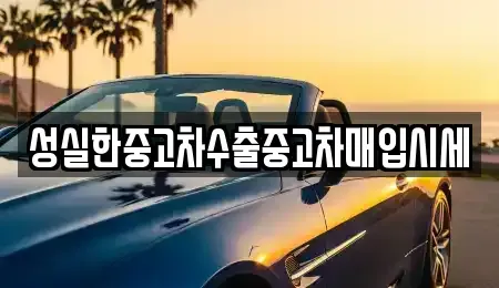 전북 전주시 완산구 남노송동 중고차매입 전문 성실한중고차수출중고차매입시세