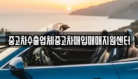 전북 전주시 완산구 남노송동 중고차매입 전문 중고차수출업체중고차매입매매지원센터