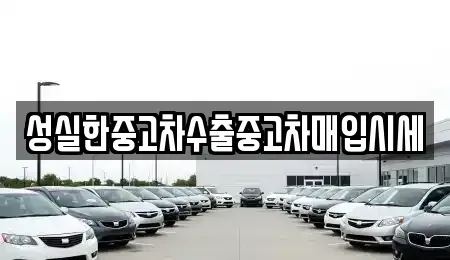 전북 중고차매입 전문 성실한중고차수출중고차매입시세